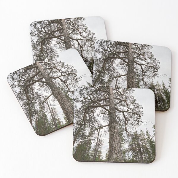 Item preview, Reaching the hights designed and sold by Jouko Lehto Photography.