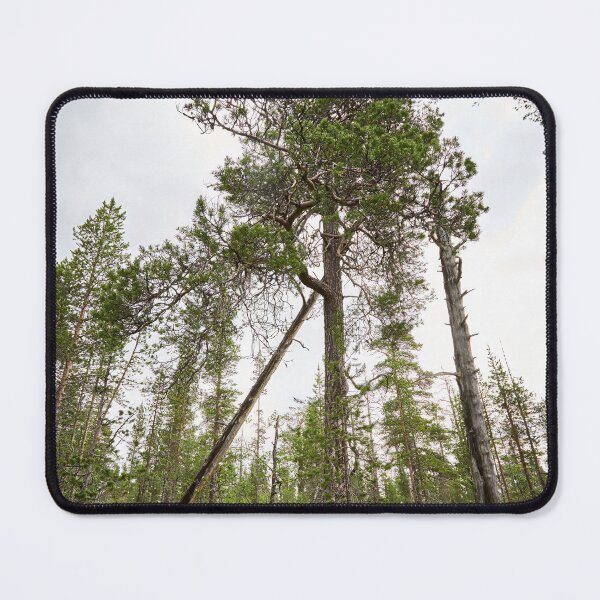 Item preview, Konkelo - One half down designed and sold by Jouko Lehto Photography.