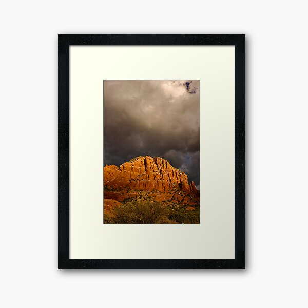 Well Look At The Bright Side Framed Art Print