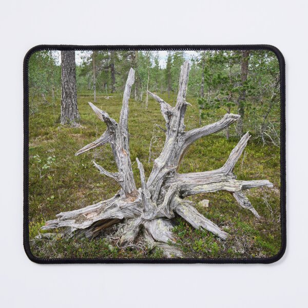 Item preview, The roots up designed and sold by Jouko Lehto Photography.