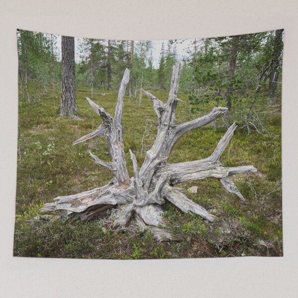 Item preview, The roots up designed and sold by Jouko Lehto Photography.