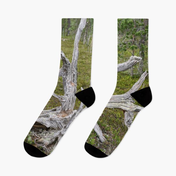 Item preview, The roots up designed and sold by Jouko Lehto Photography.