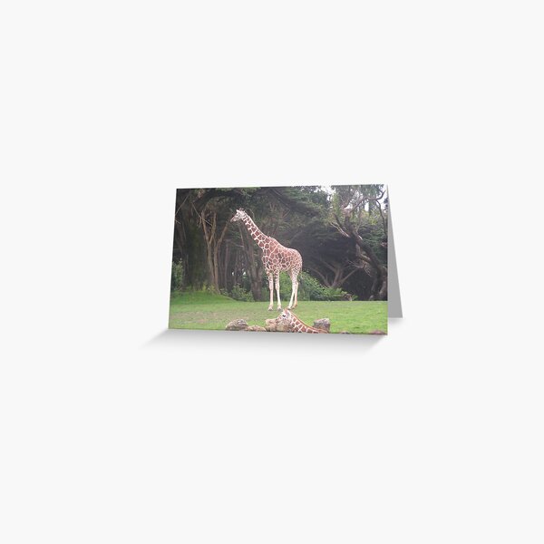 Item preview, Giraffes 002 designed and sold by pasta26mc.