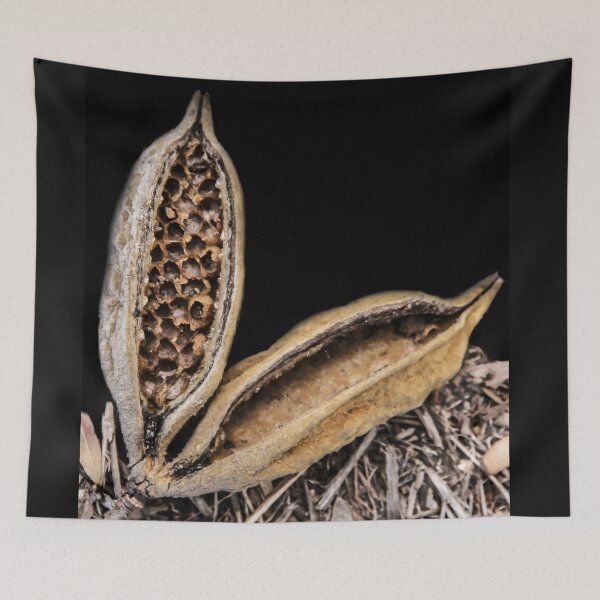 Item preview, Seed Pod designed and sold by heatherfriedman.