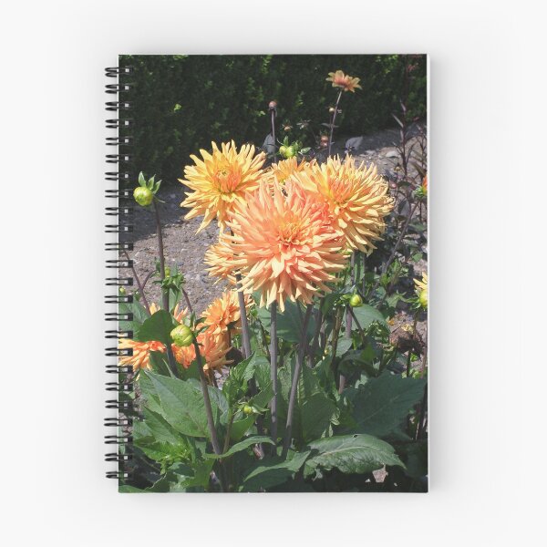 Item preview, Golden Dahlia designed and sold by lezvee.
