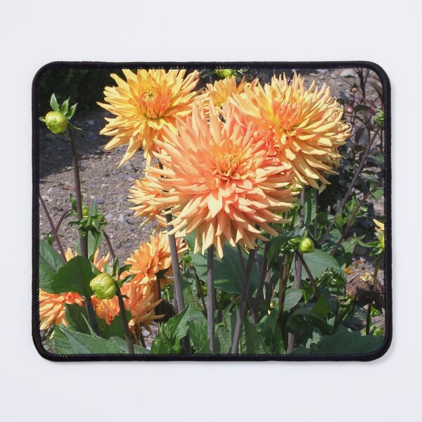 Item preview, Golden Dahlia designed and sold by lezvee.