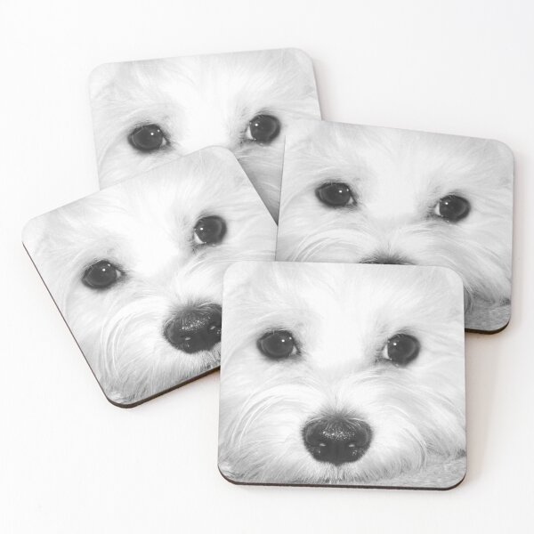 Artikelvorschau, Malteser Hund entworfen und verkauft von AnnSign.