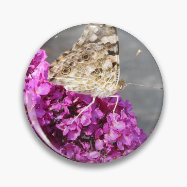 Item preview, Painted Lady Butterfly - Vanessa cardui - On Buddlea  designed and sold by lezvee.