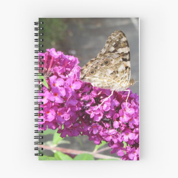 Item preview, Painted Lady Butterfly - Vanessa cardui - On Buddlea  designed and sold by lezvee.