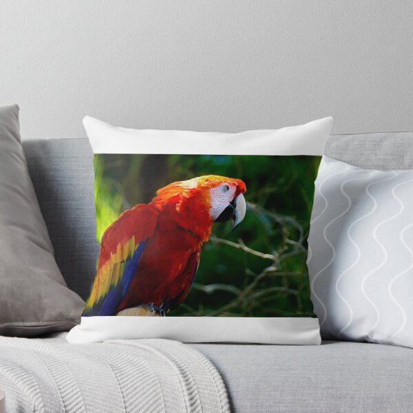 Item preview, Scarlet Macaw designed and sold by Maria A. Barnowl.