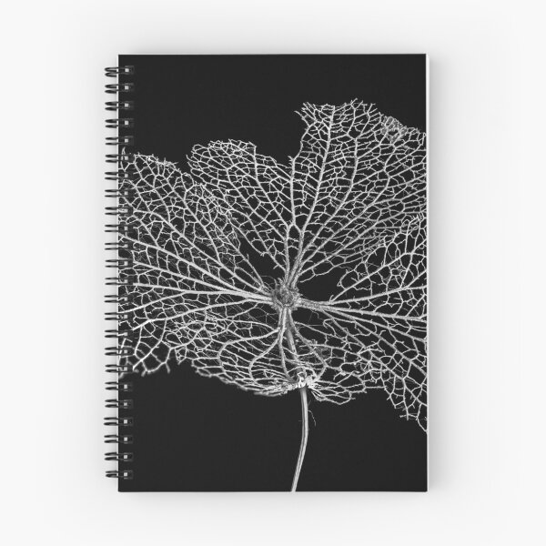 Item preview, Leaf Skeleton designed and sold by Nigel R Bell Photography.