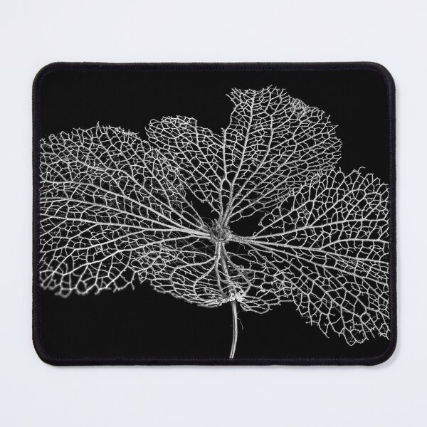 Item preview, Leaf Skeleton designed and sold by Nigel R Bell Photography.