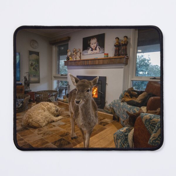 Item preview, Fawn designed and sold by Anne Young.