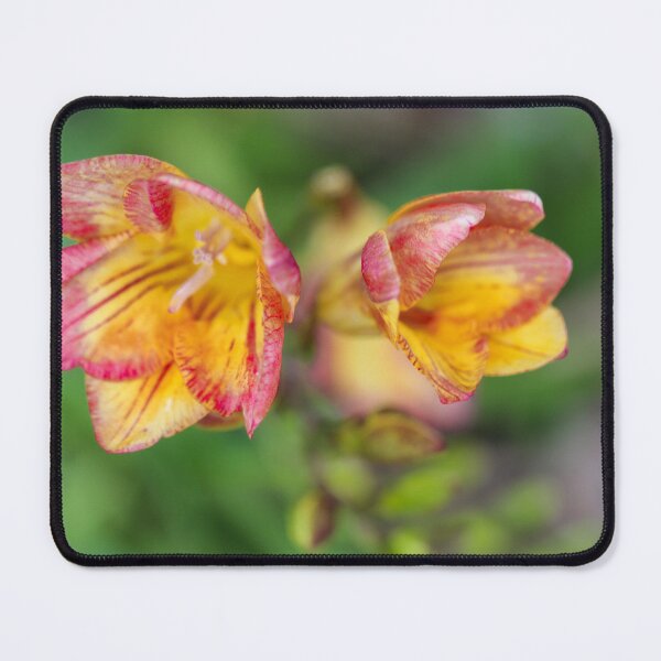 Item preview, Yellow Freesia Flower designed and sold by danasdiary.