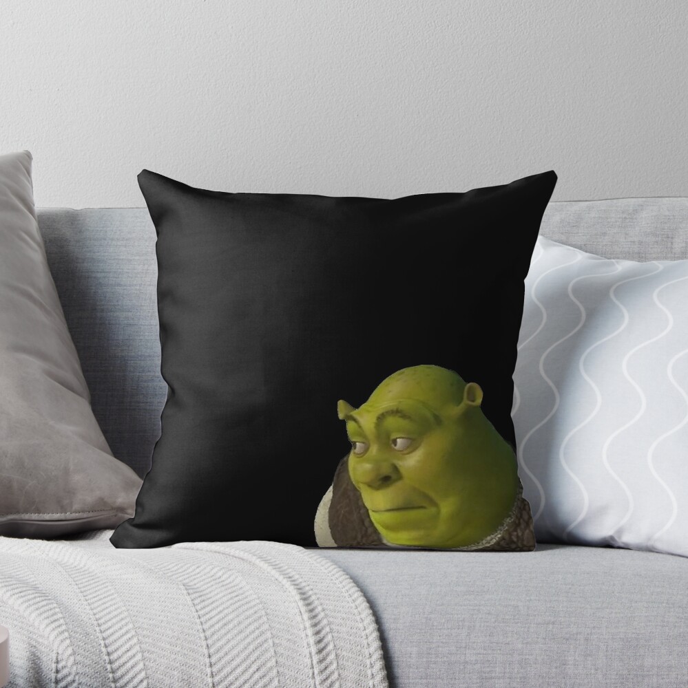 Shrek Body Pillows Quite Possibly The Cutest Gamer Chick Ever Cincinbear Garnrisnet 1341