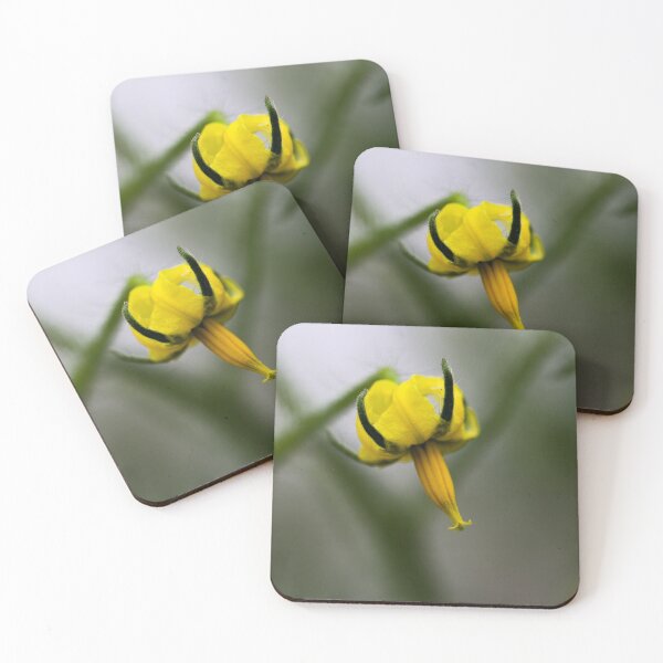 Item preview, Dandelion Bud designed and sold by danasdiary.