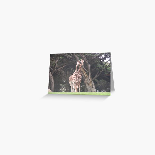 Item preview, Giraffes 003 designed and sold by pasta26mc.