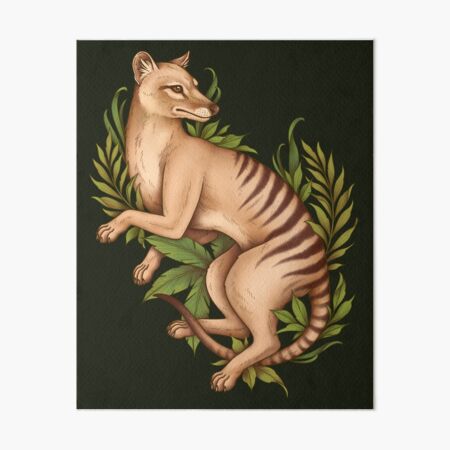 Item preview, Thylacine Art Tasmanian Tiger Cryptid Tasmanian Wolf Fern Cryptozoology Canine Mystery Extinct Animal Furry Therian Forestcore Vintage Art print Oldschool Art designed and sold by Veymoth.