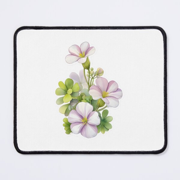 Item preview, Oxalis adenophylla (Silver Shamrock) designed and sold by HOMETOWN86.