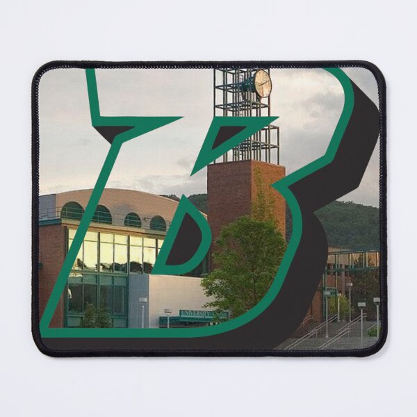 Item preview, Binghamton University designed and sold by JORDI NOVAK.