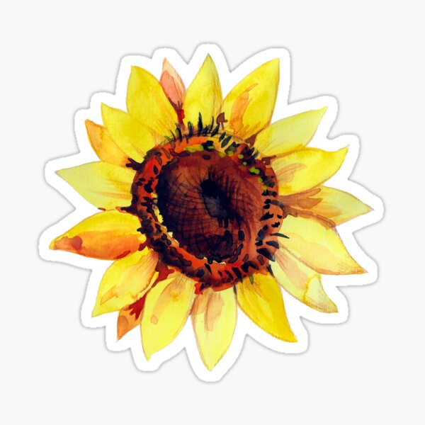 Item preview, Bright, yellow, ripe sunflower painted with watercolors designed and sold by Nadezhda Appolat.