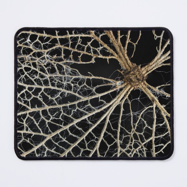 Item preview, Leaf Skeleton 2 designed and sold by Nigel R Bell Photography.