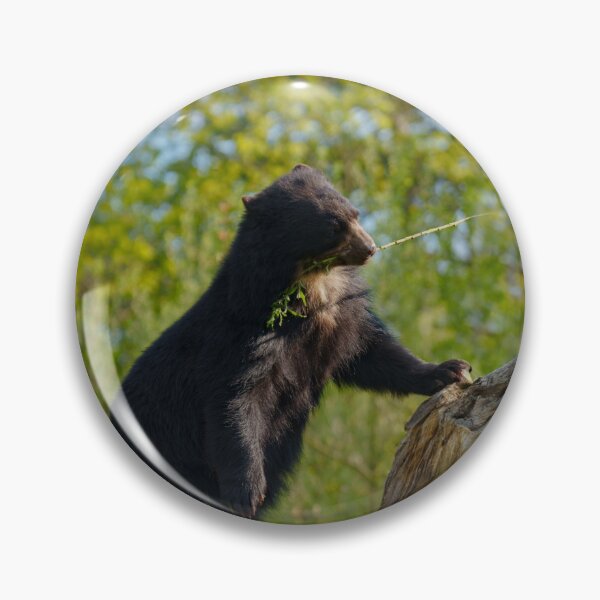 Item preview, Sun Bear's Tree Top Snack designed and sold by rawshutterbug.