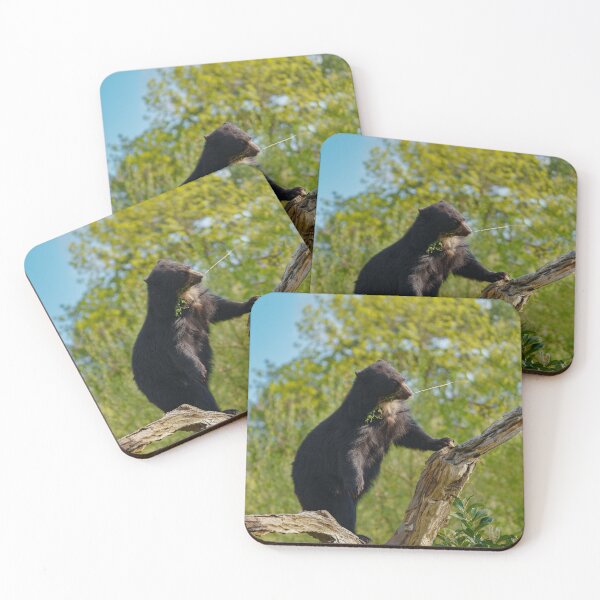 Item preview, Sun Bear's Tree Top Snack designed and sold by rawshutterbug.