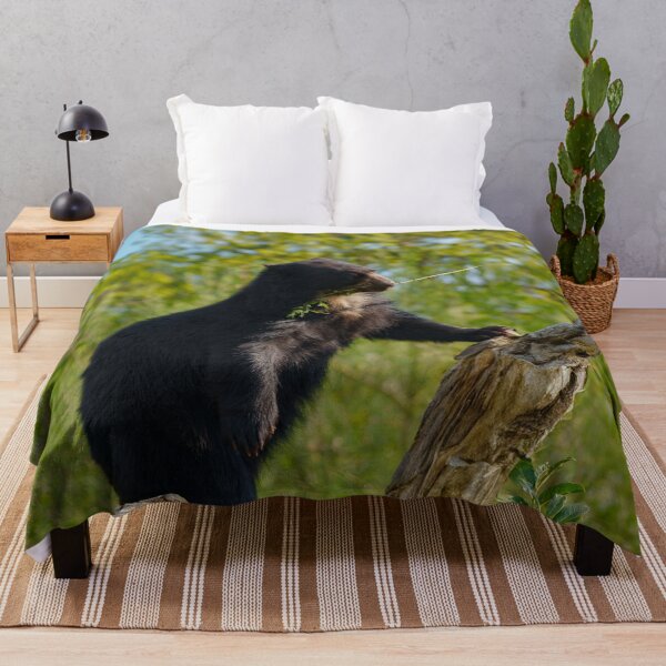 Item preview, Sun Bear's Tree Top Snack designed and sold by rawshutterbug.