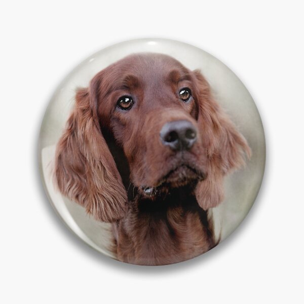 Item preview, Irish Red Setter Dog designed and sold by Carrie Southerton Dog Photography.