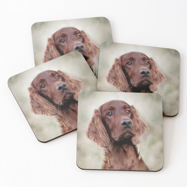 Item preview, Irish Red Setter Dog designed and sold by Carrie Southerton Dog Photography.
