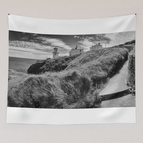 Item preview, Path to Blackhead Lighthouse designed and sold by Nigel R Bell Photography.