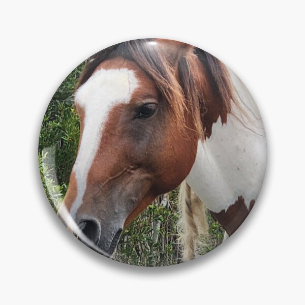 Item preview, Wild horse of Assateague designed and sold by Raineylanes.