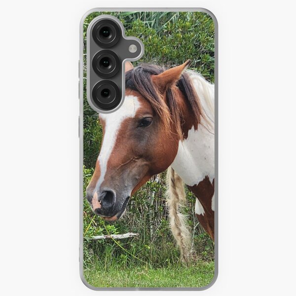 Aperçu de l'œuvre Cheval sauvage d'Assateague créée et vendue par Raineylanes.