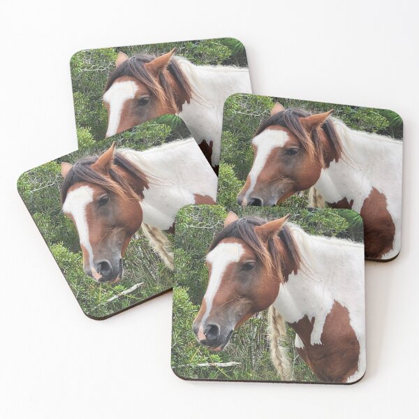 Item preview, Wild horse of Assateague designed and sold by Raineylanes.