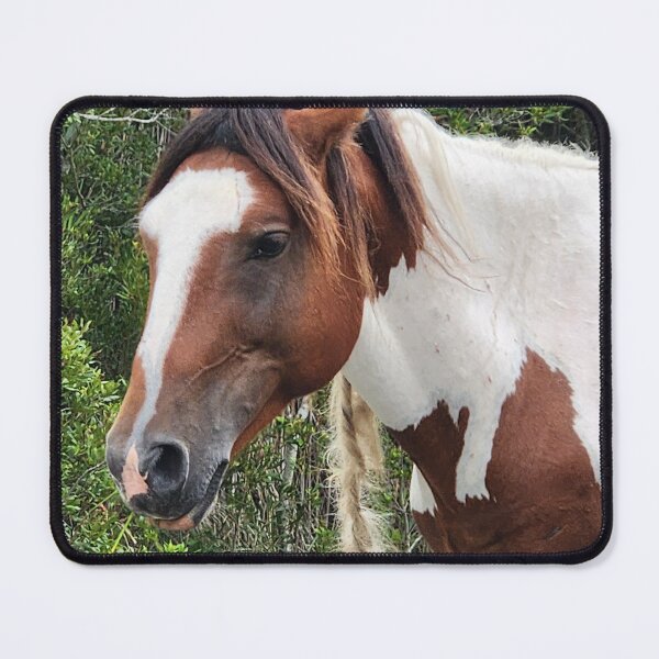 Item preview, Wild horse of Assateague designed and sold by Raineylanes.