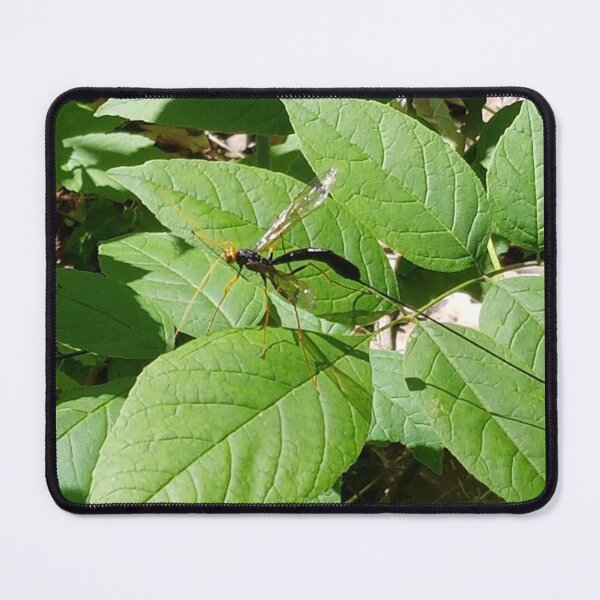 Item preview, Long-tailed Winged Insect Resting on Green Leaves designed and sold by WhiteSoftPetals.