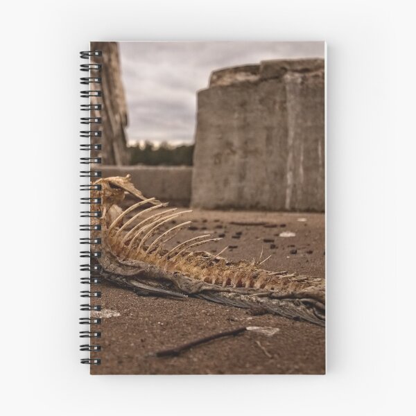 Item preview, The Leftover from a Seagull's breakfast designed and sold by Wolf Sverak Photography.