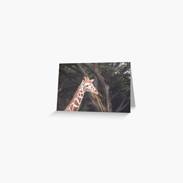 Item preview, Giraffes 004 designed and sold by pasta26mc.