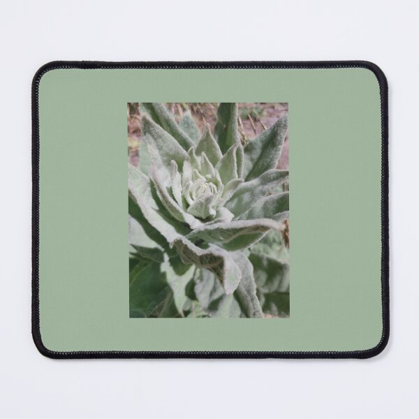 Item preview, Nature Photography Green Mullein designed and sold by Christine Schulte.