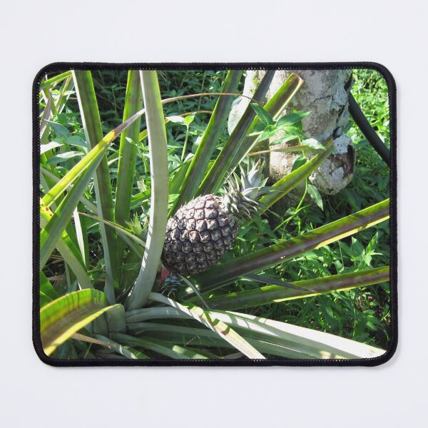 Item preview, Hawaii 1 designed and sold by bloomingvine.