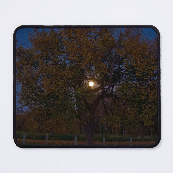 Item preview, FULL MOON IN THE TREE designed and sold by adumont1.