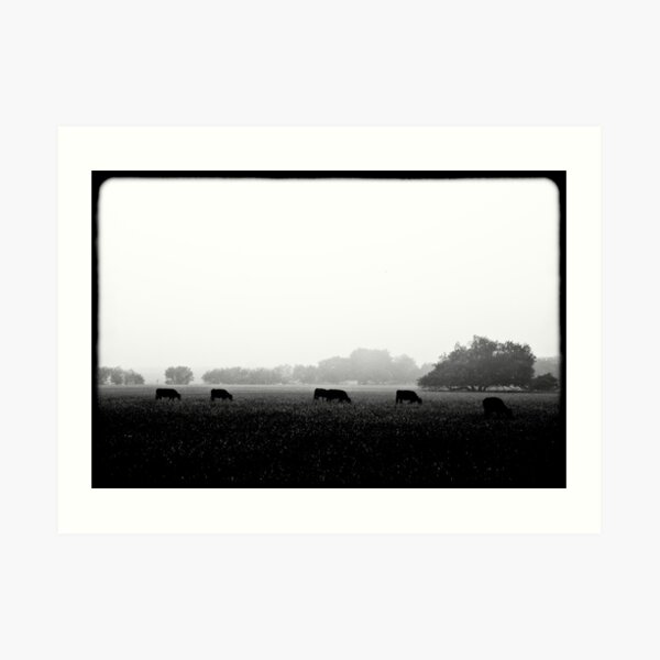 grass always tastes better when you eat it going THIS direction... Art Print