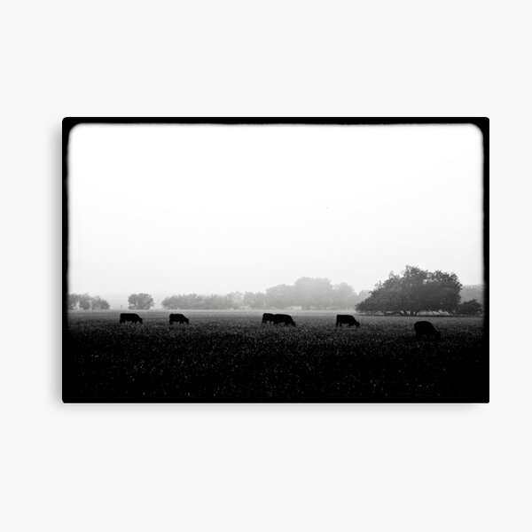 grass always tastes better when you eat it going THIS direction... Canvas Print