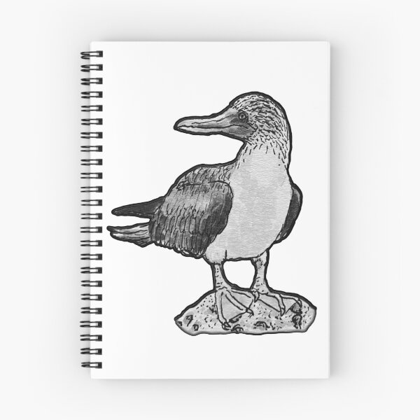 Item preview, Blue-footed Booby (Sula nebouxii) designed and sold by ItalianElephant.