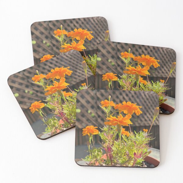 Item preview, Marigolds 2  designed and sold by Stephanie Fay.