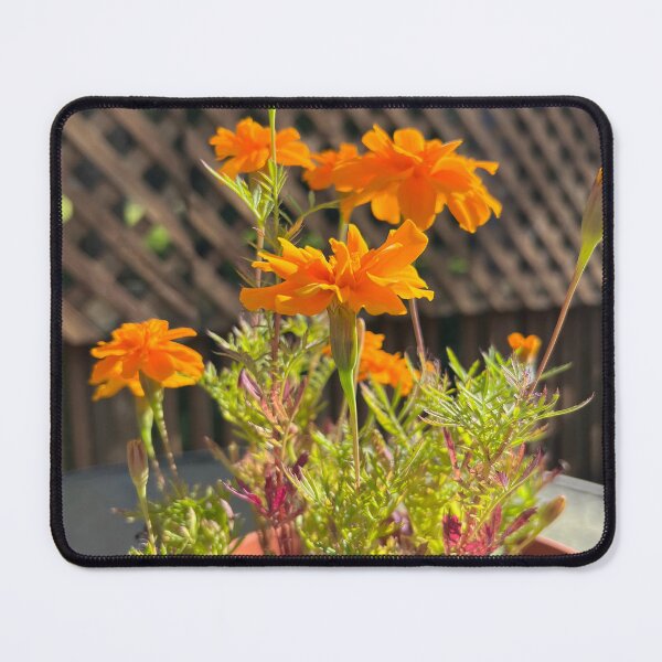 Item preview, Marigolds 2 designed and sold by Stephanie Fay.