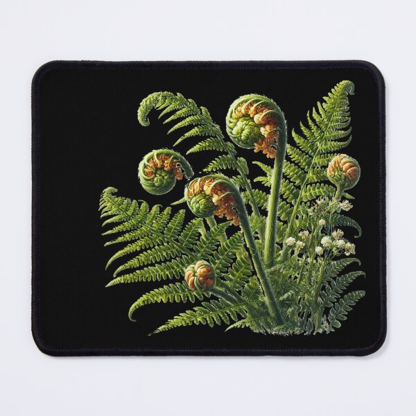 Item preview, Fern Leaf designed and sold by Blink Art Studio.