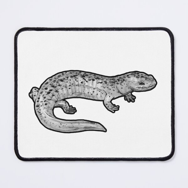 Item preview, Red Salamander (Pseudotriton ruber) designed and sold by ItalianElephant.