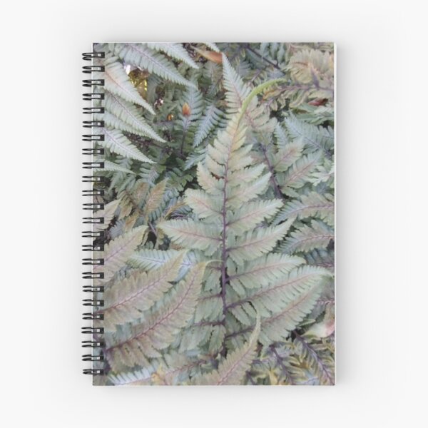 Item preview, Silver outdoor ferns  designed and sold by jbb1955.